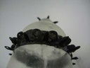 kadolin-image-g-000016