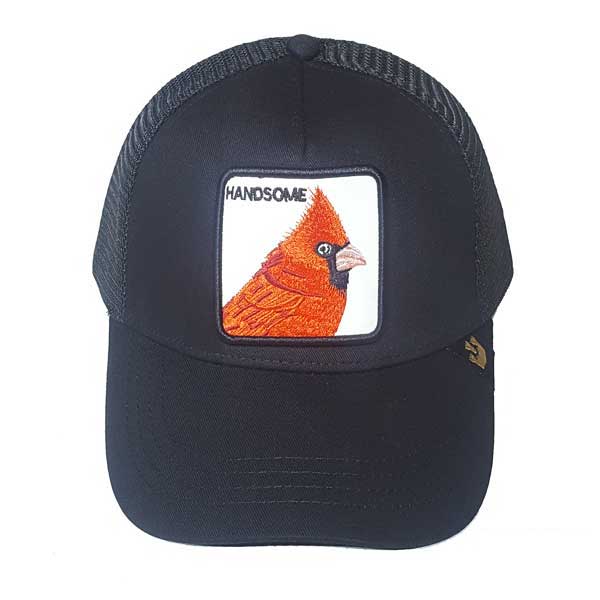 kadolin-image-g-002058