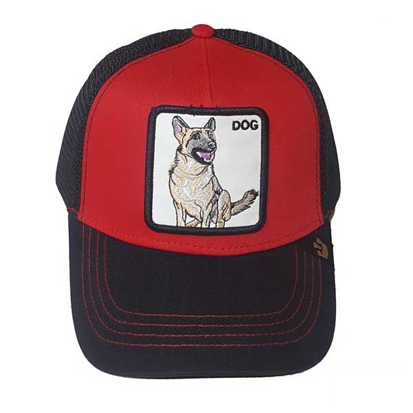 kadolin-image-g-002068