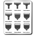 kadolin-image-g-005835
