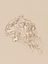 kadolin-image-g-007132