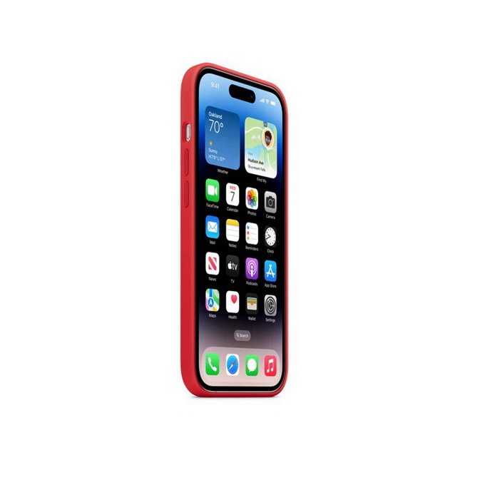 kadolin-image-g-008551